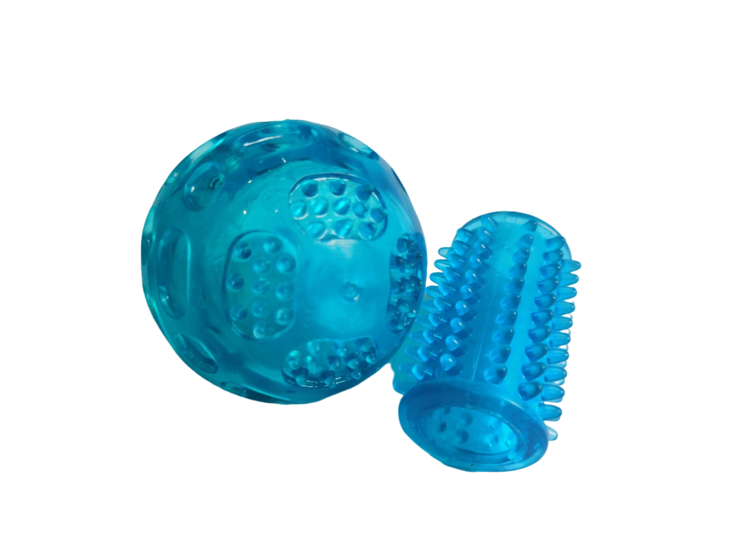 高透明宠物玩具